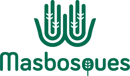 Masbosques